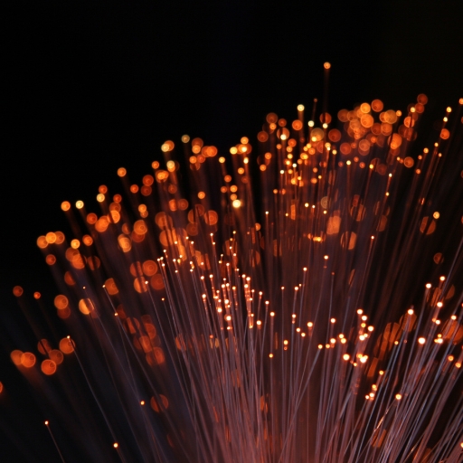 Fibre optic lights