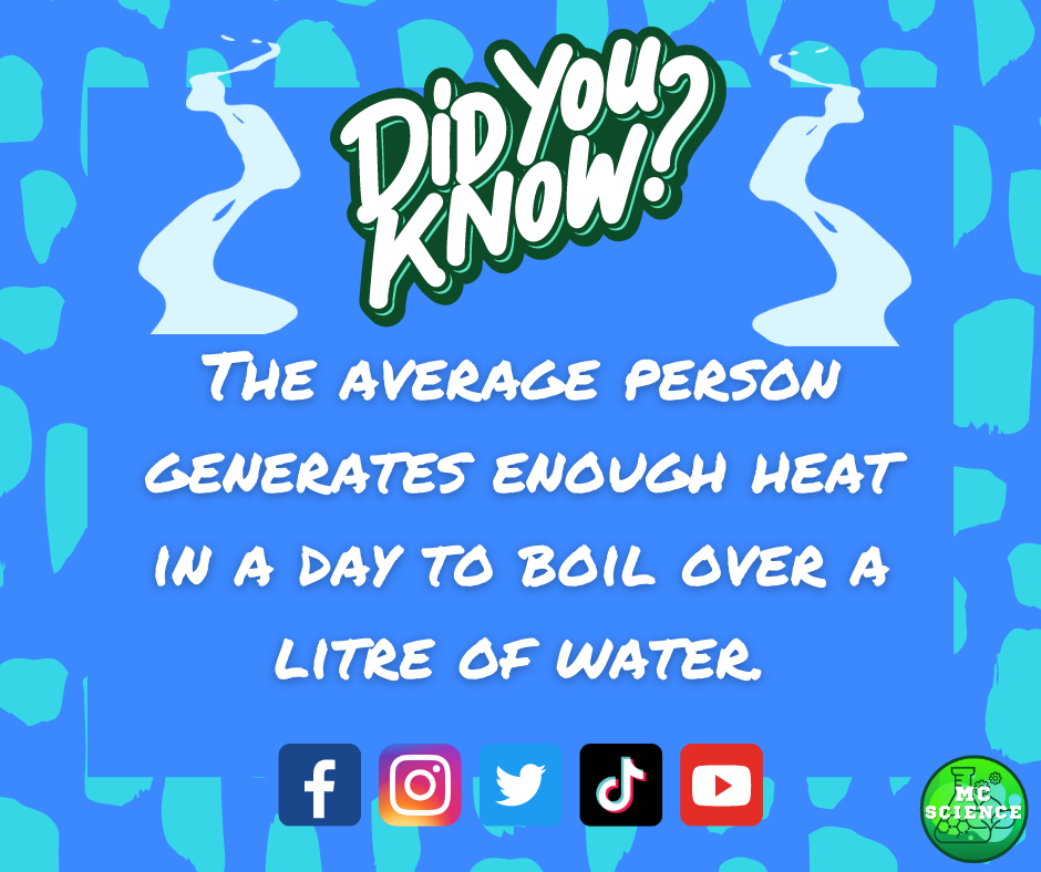Did you know information card